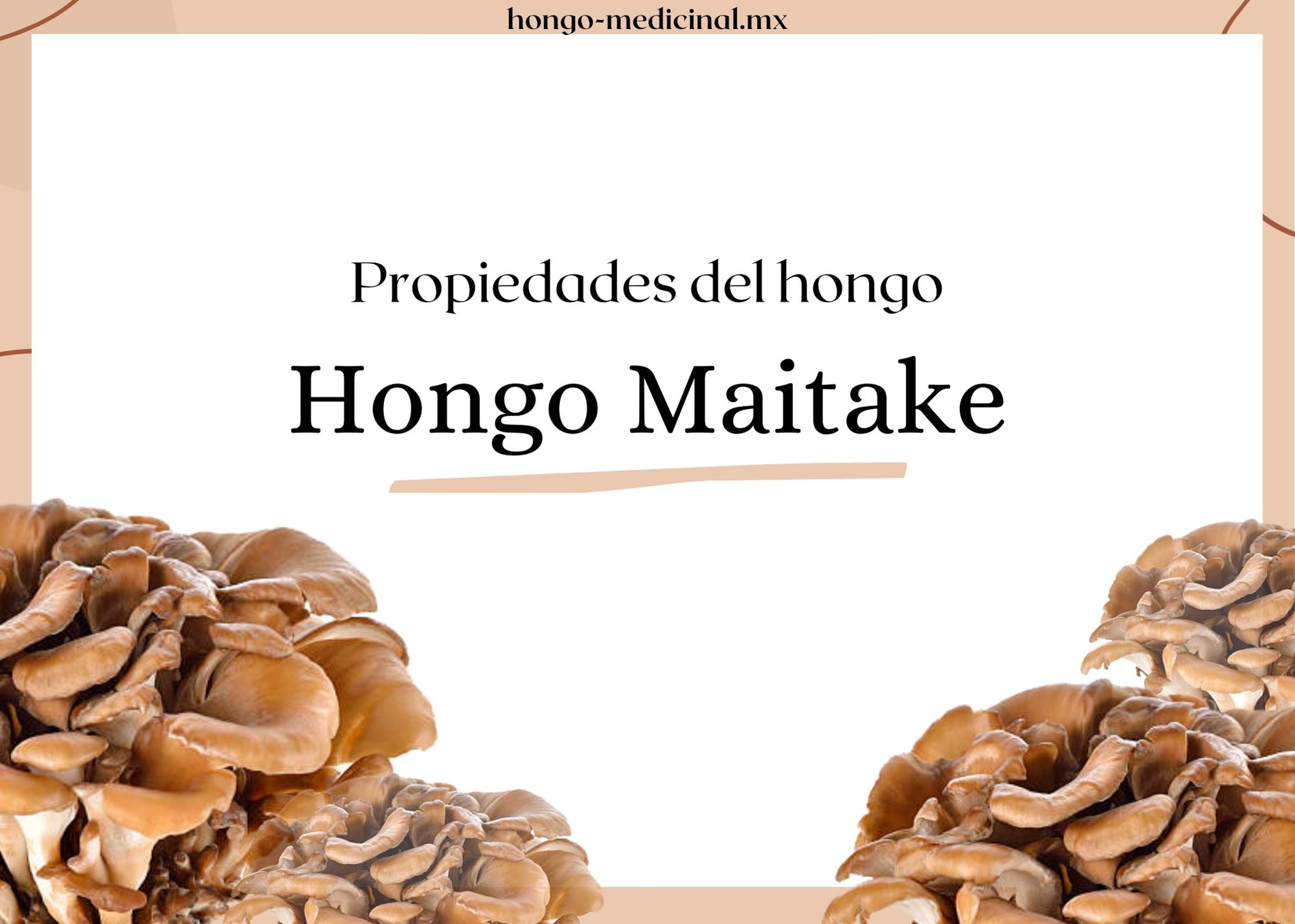 ¿Pueden las propiedades del hongo Maitake mejorar nuestra salud?