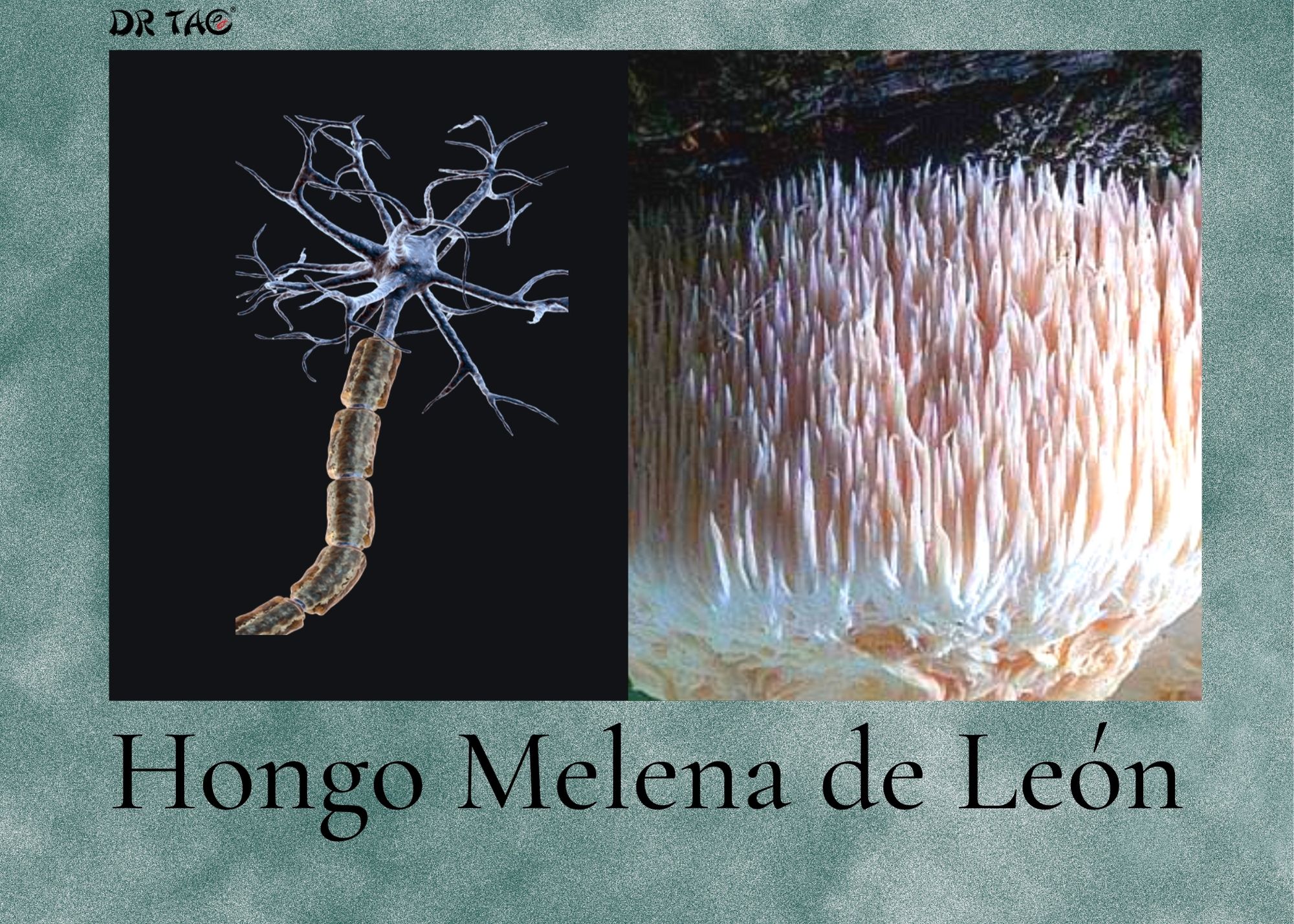 ¿Cómo podemos tratar la depresión con